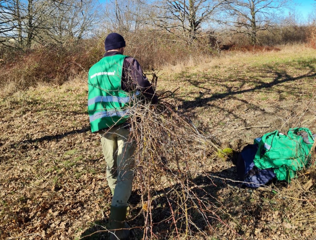 "Vite plus d'arbres", retour de la récolte du 7 février